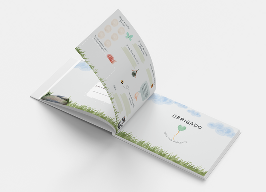 Memórias dos meus amigos do bosque